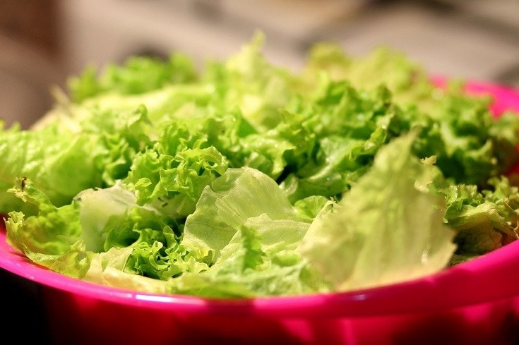 Lechuga verde claro