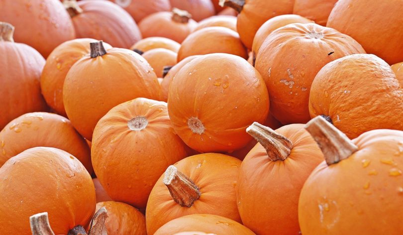 calabazas_Pixabay